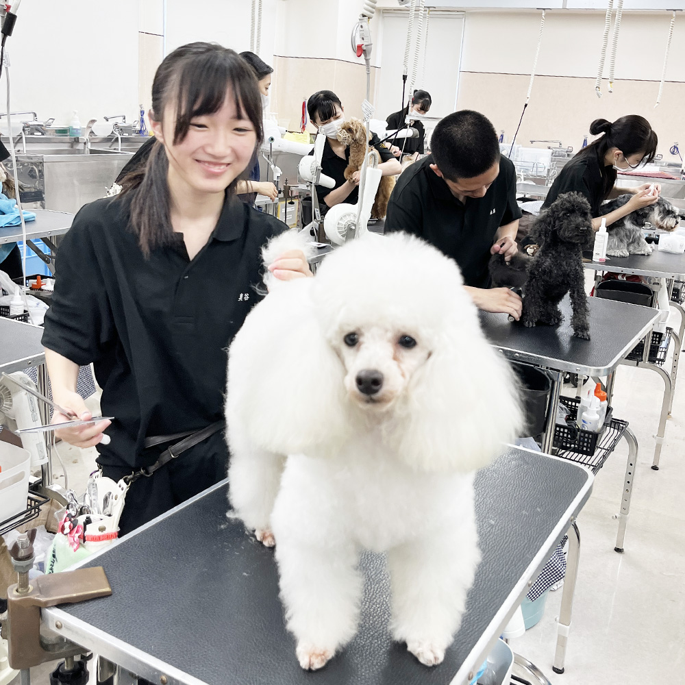 楽しくトリミング♪